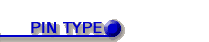 PIN type